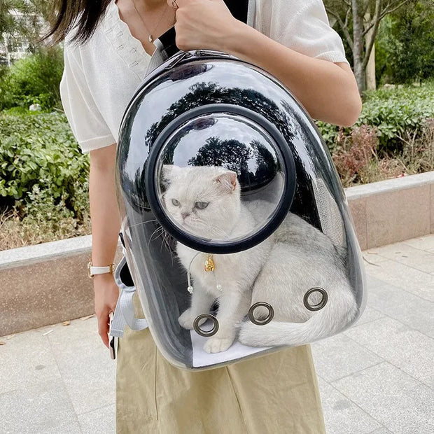 Ultimate Cat Backpack With Transparent Sunroof For Comfort