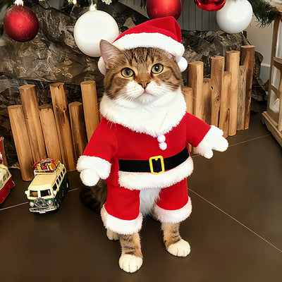 Cheerful Santa Pet Costume For Cats And Dogs Photo Ready