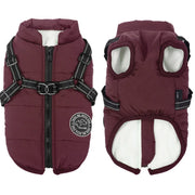 Cozy Waterproof Dog Jacket With Harness Keeps Dogs Warm