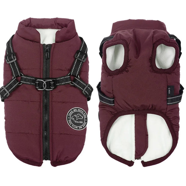 Cozy Waterproof Dog Jacket With Harness Keeps Dogs Warm
