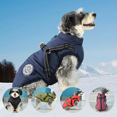 Cozy Waterproof Dog Jacket With Harness Keeps Dogs Warm