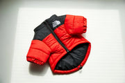 Powerful Insulated Dog Down Jacket For Small Breeds Toasty