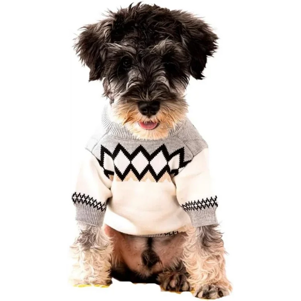 Luxurious Dog Sweater Outfit Soft Knit Teacup Sized Cozy