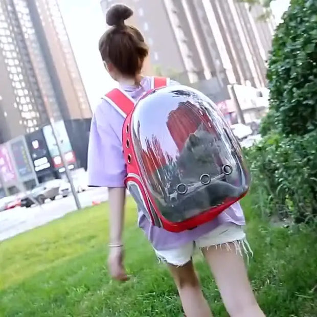 Ultimate Cat Backpack With Transparent Sunroof For Comfort