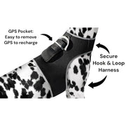 Rechargeable Pocket GPS GSM Tracking Collars for Hunting Dogs Realtime Size:S - My Variety Superstore 25