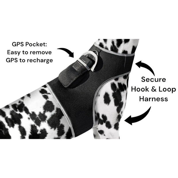 Rechargeable Pocket GPS GSM Tracking Collars for Hunting Dogs Realtime Size:S - My Variety Superstore 25