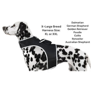 Rechargeable Pocket GPS GSM Tracking Collars for Hunting Dogs Realtime Size:S - My Variety Superstore 25