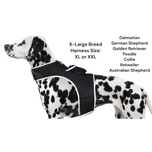 Rechargeable Pocket GPS GSM Tracking Collars for Hunting Dogs Realtime Size:S - My Variety Superstore 25