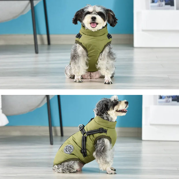 Cozy Waterproof Dog Jacket With Harness Keeps Dogs Warm