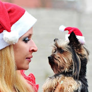 Festive Plush Pet Santa Hat With Cartoon Design Xmas Fun
