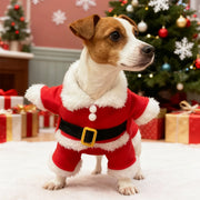 Cheerful Santa Pet Costume For Cats And Dogs Photo Ready