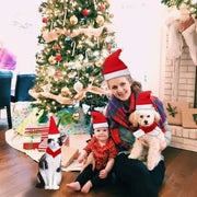 Festive Pet Costume Set Adjustable Santa Hat Scarf Fun