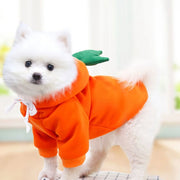 Cozy Fruit Dog Hoodie With Warm Fleece Keeps Pets Toasty