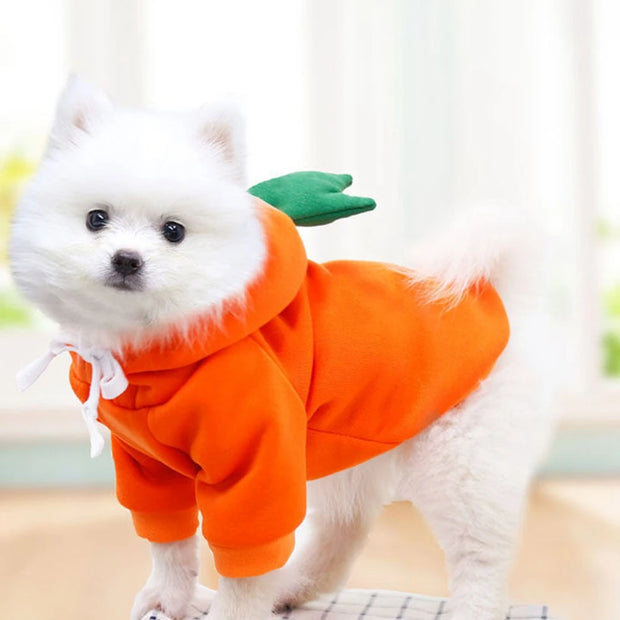 Cozy Fruit Dog Hoodie With Warm Fleece Keeps Pets Toasty