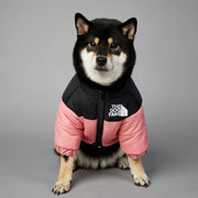 Powerful Insulated Dog Down Jacket For Small Breeds Toasty