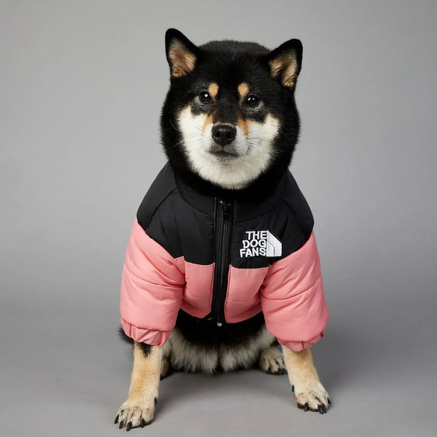 Powerful Insulated Dog Down Jacket For Small Breeds Toasty
