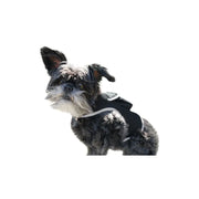 Rechargeable Pocket GPS GSM Tracking Collars for Hunting Dogs Realtime Size:S - My Variety Superstore 25