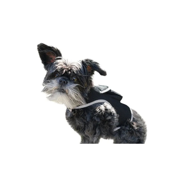 Rechargeable Pocket GPS GSM Tracking Collars for Hunting Dogs Realtime Size:S - My Variety Superstore 25