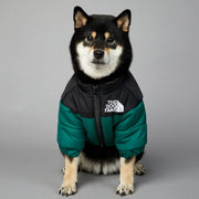 Powerful Insulated Dog Down Jacket For Small Breeds Toasty