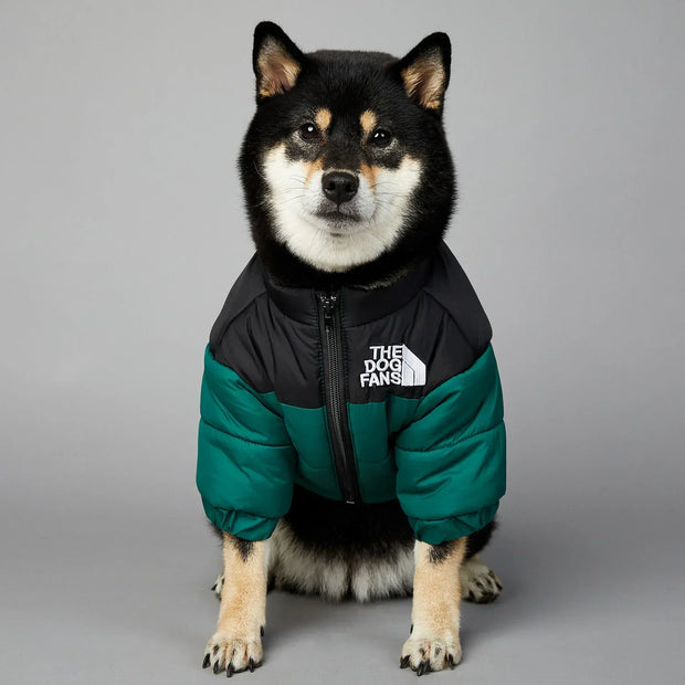Powerful Insulated Dog Down Jacket For Small Breeds Toasty