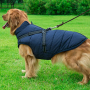 Cozy Waterproof Dog Jacket With Harness Keeps Dogs Warm