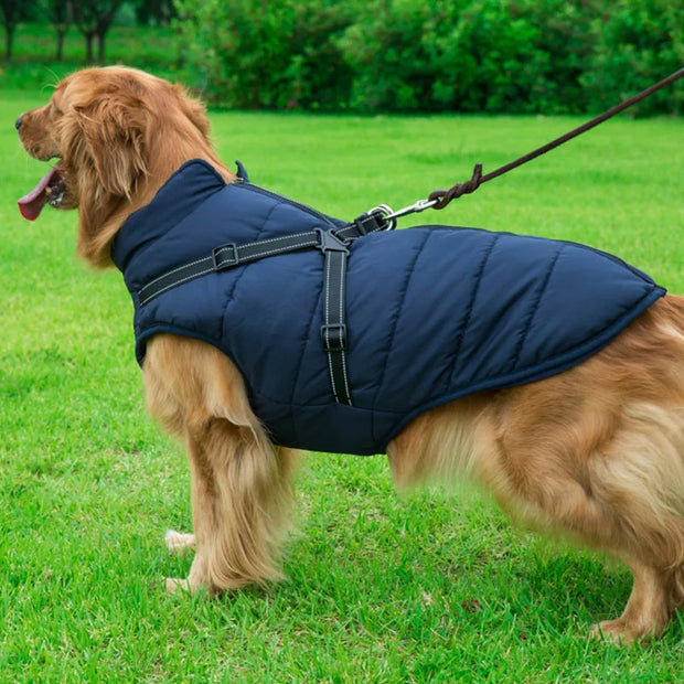 Cozy Waterproof Dog Jacket With Harness Keeps Dogs Warm