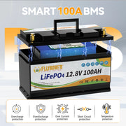 12V 100Ah LiFePO4 Battery Pack With 100A BMS For RV Boat Motors Inverter Solar Power