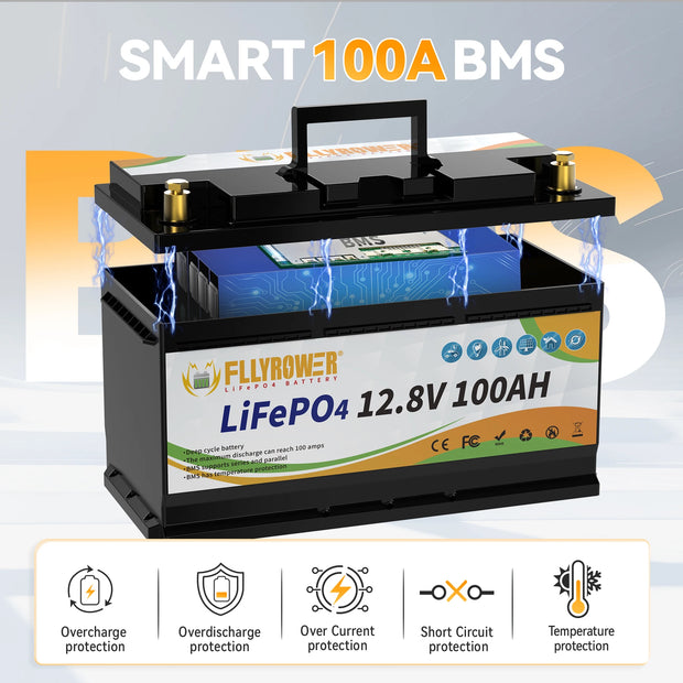 12V 100Ah LiFePO4 Battery Pack With 100A BMS For RV Boat Motors Inverter Solar Power