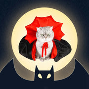 Vibrant Vampire Cloak Pet Costume With Pumpkin Print Fun