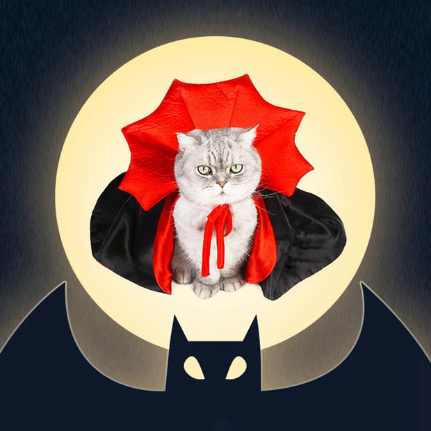 Vibrant Vampire Cloak Pet Costume With Pumpkin Print Fun