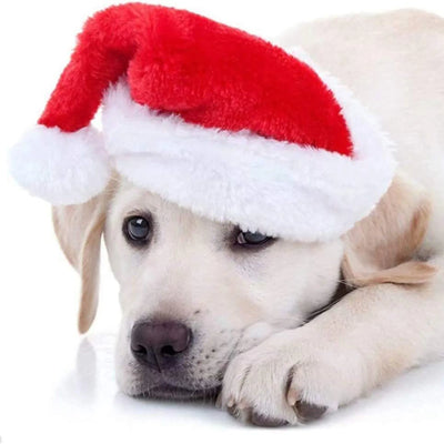 Joyful Plush Santa Hat For Pets Dog Cat Christmas Fun