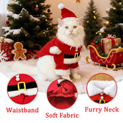 Cheerful Santa Pet Costume For Cats And Dogs Photo Ready