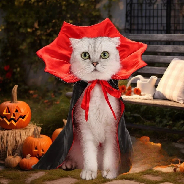 Spooky Vampire Pet Costume Set Satin Cloak For Dress Up Fun