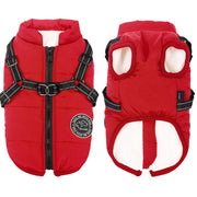 Cozy Waterproof Dog Jacket With Harness Keeps Dogs Warm