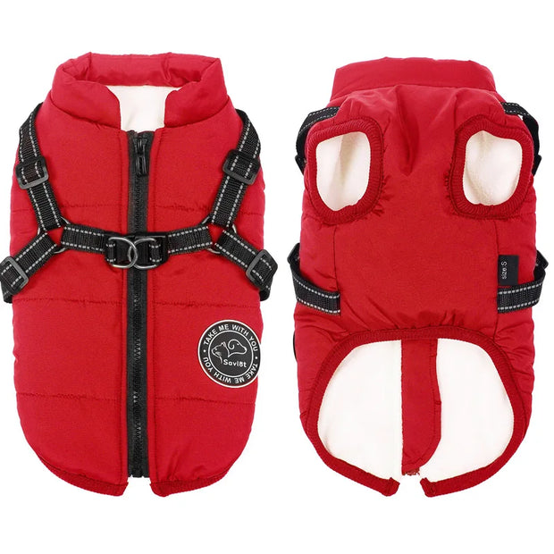 Cozy Waterproof Dog Jacket With Harness Keeps Dogs Warm