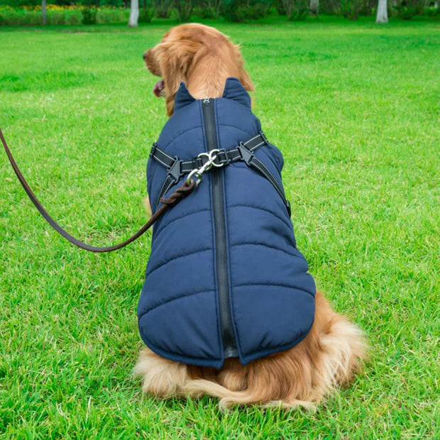Cozy Waterproof Dog Jacket With Harness Keeps Dogs Warm