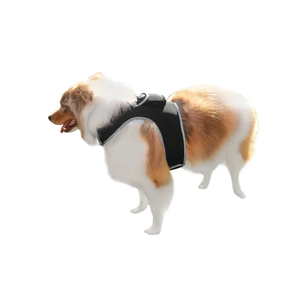 Rechargeable Pocket GPS GSM Tracking Collars for Hunting Dogs Realtime Size:S - My Variety Superstore 25