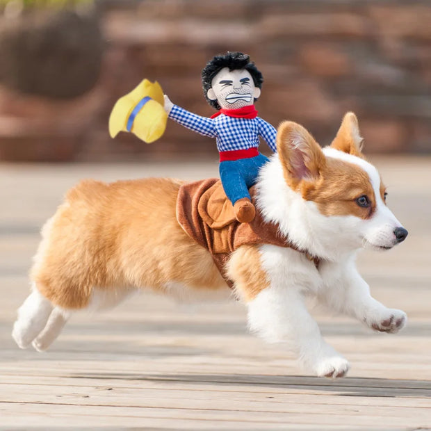Epic Dog Costume Cowboy Knight Suit For Party Ready