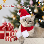 Festive Pet Costume Set Adjustable Santa Hat Scarf Fun