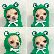 Cozy Pet Hoodie Sweater With Fruit Print Keeps Pets Warm