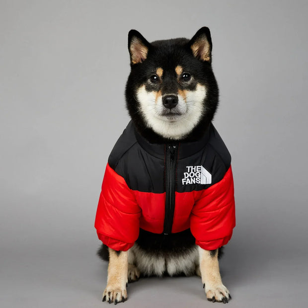 Powerful Insulated Dog Down Jacket For Small Breeds Toasty
