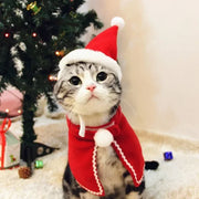Festive Cat Cloak Scarf With Plush Santa Hat Holiday Fun