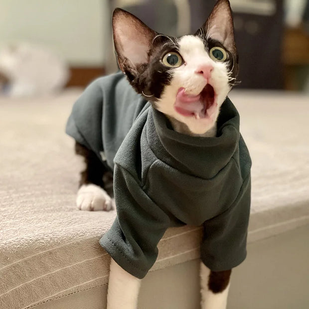 Bold Soft Cotton Cat Hoodie For Hairless Pets Warmth
