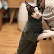 Bold Soft Cotton Cat Hoodie For Hairless Pets Warmth
