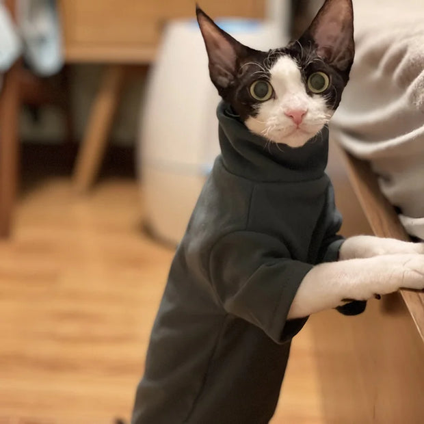 Bold Soft Cotton Cat Hoodie For Hairless Pets Warmth