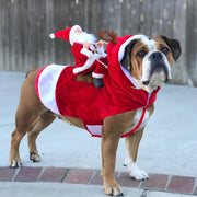 Joyful Dog Christmas Costume With Adjustable Chest Comfort