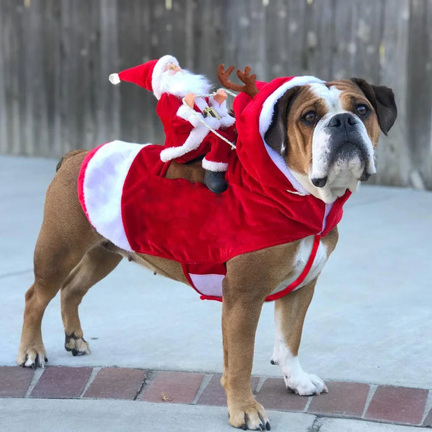Joyful Dog Christmas Costume With Adjustable Chest Comfort