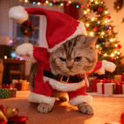 Cheerful Santa Pet Costume For Cats And Dogs Photo Ready