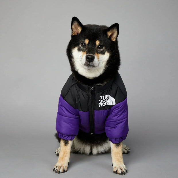 Powerful Insulated Dog Down Jacket For Small Breeds Toasty