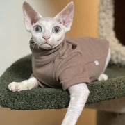 Bold Soft Cotton Cat Hoodie For Hairless Pets Warmth